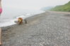 DSC09117.JPG