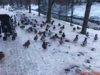 DSC00012.JPG