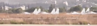 upload_2015-9-30_0-59-56.png