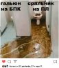 synVK5fM5ws.jpg