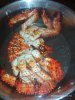 IMG_20200222_215110.jpg