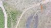 IMG_20200716_192445.jpg