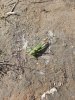 20200818_104941.jpg