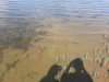 20200818_110149.jpg
