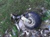 IMG_20200927_112946_475.jpg
