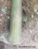 IMG_20200928_185735_227.jpg