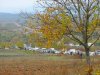 IMG-20201108-WA0098.jpg