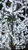 IMG-20151225-WA0006.jpg