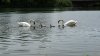 DSC02174.JPG