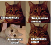16477759754850.png