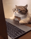 16499594171670.gif