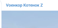 1651928384048.png