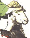 1651931357306.png