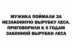 IMG-20221219-WA0010.jpg