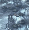 1676025087384.png