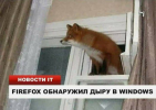 1676654391487.png