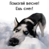 1677567025507.png