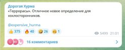 Террорасы.jpg