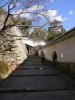 IMG_20160415_191234.jpg