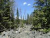 DSC00775.JPG