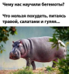 1681457160803.png