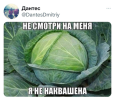 1686642339299.png
