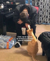 1686673724243.png