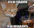 1686673744496.png