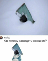 1686673776960.png
