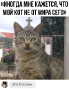 1686764723591.png