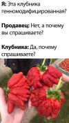 1686764868896.png