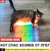1686813600195.png