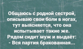 1686849866196.png