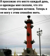 1686851629939.png