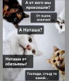 1686982159041.png