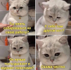 1687015553320.png