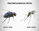 1687247739980.png