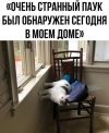 1687282721893.png