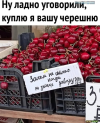 1687340362419.png