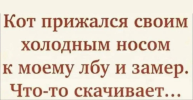 1687340417591.png