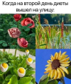 1687376818069.png