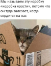 1687376895288.png