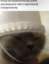 1687544119674.png