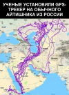1687701531107.png