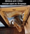 1687934759753.png