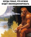 1688406254261.png