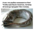 1688564111231.png