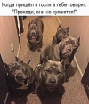 1688564165677.png