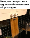 1688749373448.png