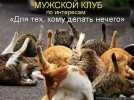 яйца.jpg